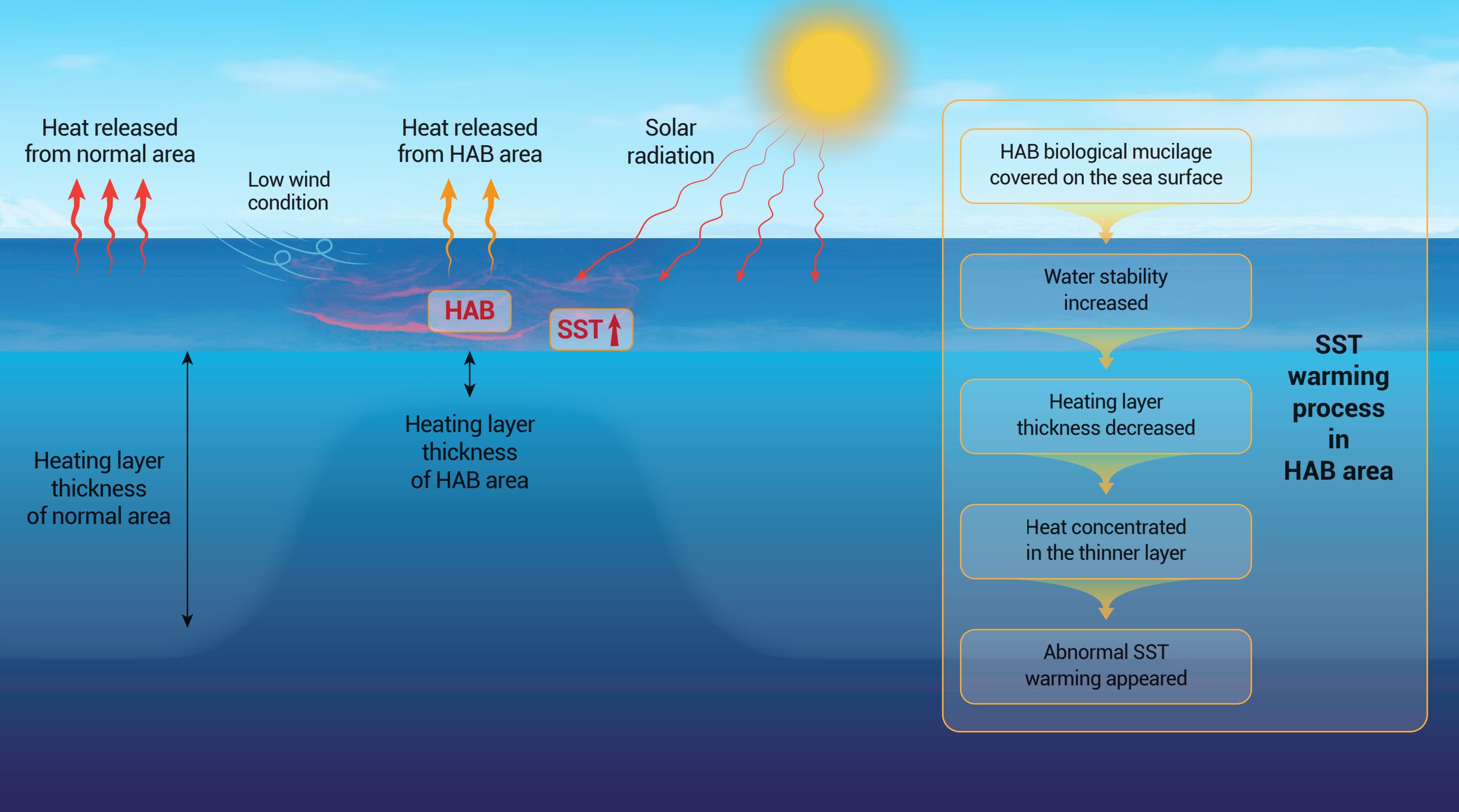 图3.赤潮引起海表温度异常增温机制概念图.png